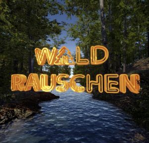 WALDRAUSCHEN - the noise of the forest - 3D - Animation & Music © by Jo Jacobs - made with Unity, Blender, BlocsWave & Logic Pro