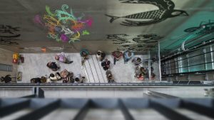 birdshow interaktive video-installation
